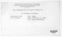 Image Associated With the Occurence